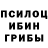 Галлюциногенные грибы мицелий Viny X