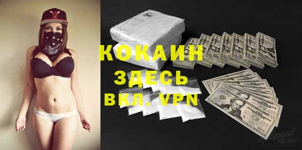 крисы Абаза