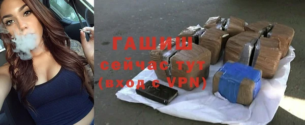 крисы Абаза