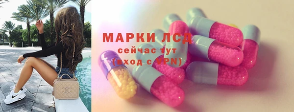 крисы Абаза