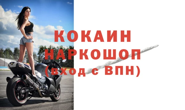 крисы Абаза