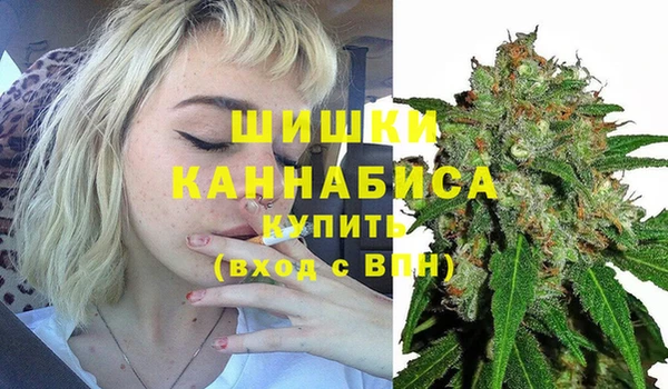 крисы Абаза