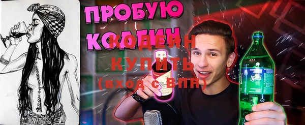 крисы Абаза