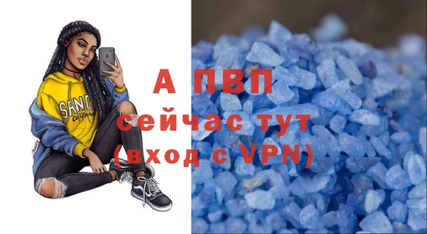 крисы Абаза