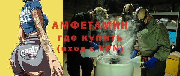 крисы Абаза