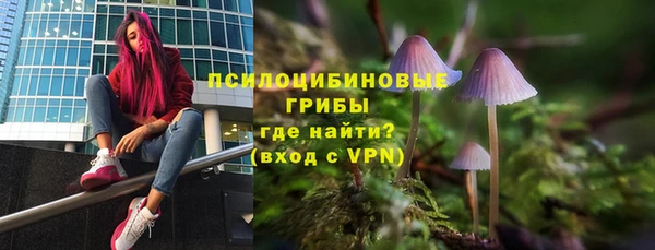 крисы Абаза